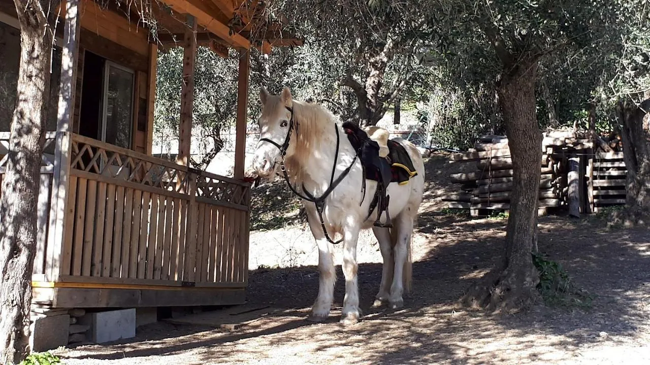 Bed & Breakfast Villa Rosetta Moneglia