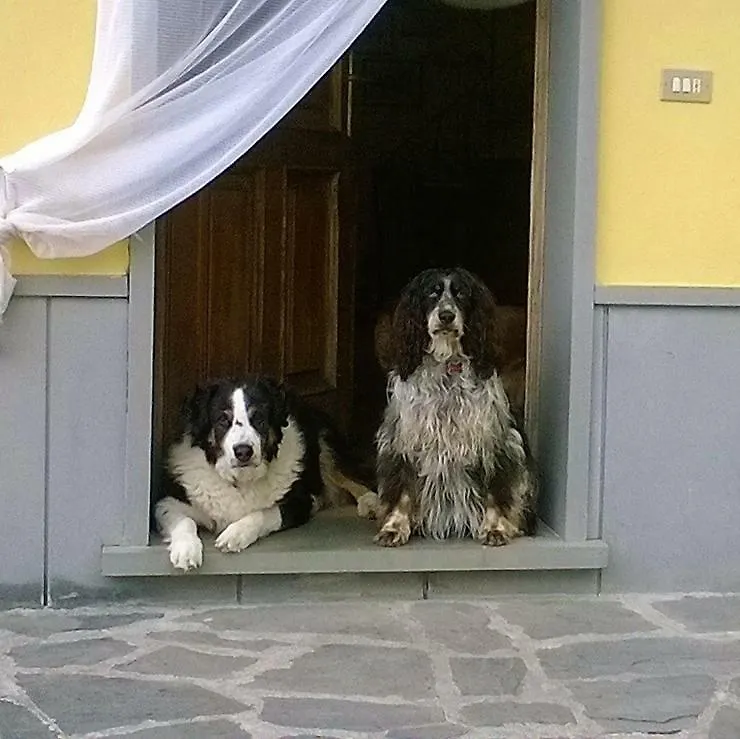 Bed & Breakfast Villa Rosetta Moneglia